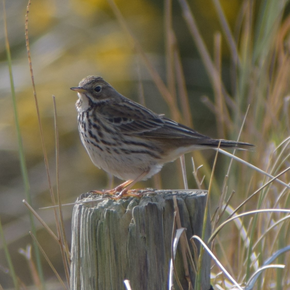 Favourite Nature Photography